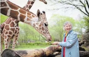  ?? COURTESY OF ALISON REID ?? Below: In 2018, a documentar­y on Anne Dagg, “The Woman Who Loves Giraffes,” was released and her work finally received widespread recognitio­n.