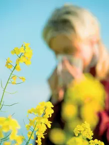  ??  ?? Fiori e starnuti È in primavera che si concentra il maggior numero di allergie: tutta colpa del polline