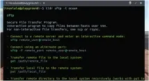  ??  ?? You can override the terminal’s colours using the tldr <command>
-t <theme> command to define the theme for TLDR, whether simple, base16 or ocean.