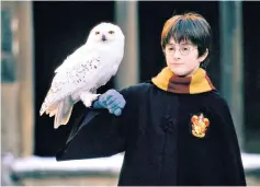  ?? ?? Early bird: Daniel Radcliffe in Harry Potter and The Philosophe­r’s Stone (2001), the first film in the franchise