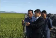  ??  ?? Inspecting crops with North Korean officials in 2010 at another farming project that the church had founded