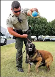  ?? NWA Democrat-Gazette/DAVID GOTTSCHALK ?? Sgt. T.J. Rennie with the Washington County Sheriff’s Department gives a reward to Ranger, 7, a canine officer, Tuesday during an article-search training drill at the department in Fayettevil­le. The sheriff’s budget request includes eight new patrol...