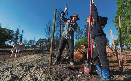 ?? ?? Starting over: Kevin Lundy (left) and his son Levi building a fence around their property as they prepare to build a new home to replace the one destroyed in the fire almost one year ago in Paradise. — AFP
