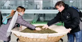  ?? BAI BIN / XINHUA ?? Shaun Nish and his daughter Rebecca sift tea leaves during a visit to a factory in Jinzhai.