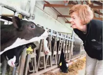  ?? MARISA WOJCIK, AP ?? Wisconsin Sen. Tammy Baldwin looks at calves after talks with dairy producers about Canadian trade barriers.