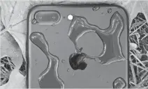  ?? REVIEWED.COM / MICHAEL DESJARDIN ?? The iPhone 7 is water-resistant, as are some other new phones. But even water resistance has its limits.