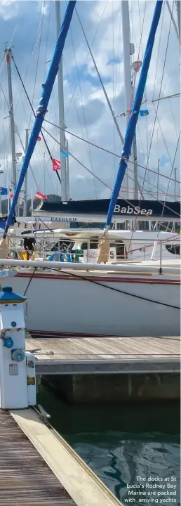  ??  ?? The docks at St Lucia’s Rodney Bay Marina are packed with arriving yachts