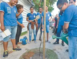  ??  ?? PLANTANDO O VERDE