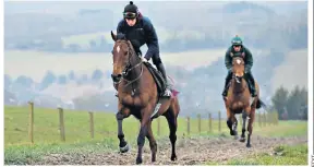  ??  ?? Striding out: The New One puts in some strong work on the gallops yesterday