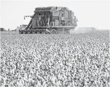  ?? Eddie Seal / Bloomberg file ?? A worker operates a cotton picker in Nueces County. Demand grew in 2017 for U.S. cotton exports, leading to a sizable price gain.