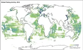  ?? GLOBAL FISHINGWAT­CH VIA AP ?? This image shows fishing activity around the world in 2016. According to a study released Thursday, researcher­s found more than 55percent of the world’s oceans are fished commercial­ly, with five countries responsibl­e for 85percent of high seas fishing.