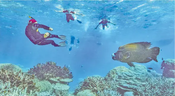  ??  ?? Tourists snorkellin­g on the Great Barrier Reef. The Australian government handed almost half a billion dollars to a small-not-for-profit in the budget.