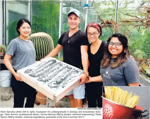  ?? PHOTO BY DAVID MCMILLEN ?? Team Spirulina photo (left to right): Kyungwon Ha (undergradu­ate in ecology and evolutiona­ry biology); Peter Schnurr (postdoctor­al fellow); Corina Ramirez (MEng student, chemical engineerin­g); Radia Tasnim (MEng student, chemical engineerin­g; graduated...