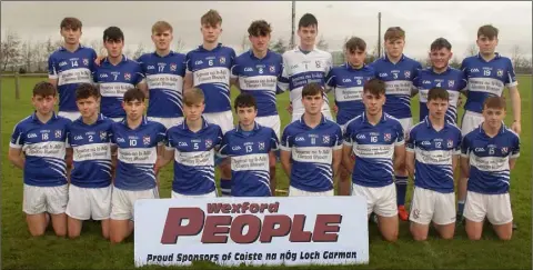  ??  ?? The victorious Oylegate-Glenbrien side before the Wexford People Minor hurling Premier shield final in Ferns on Saturday.