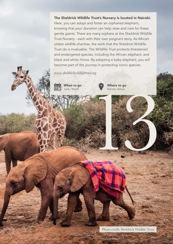  ?? Photo credit: Sheldrick Wildlife Trust ?? When to go June - March
Where to go Nairobi, Kenya