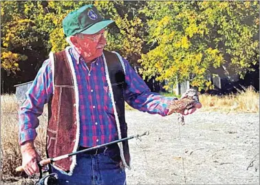  ?? JON HAMMOND / FOR TEHACHAPI NEWS ?? Dr. Ted Murphy, a now-retired biology professor, prepares to test-fly a Burrowing Owl from Tehachapi that had undergone rehab.