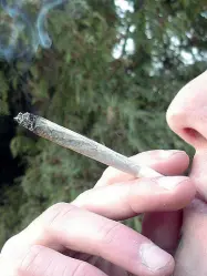  ?? (foto archivio) ?? Sostanza legale La docente fermata dai vigili di Thiene stava fumando della cannabis venduta legalmente, perché con basso valore di principio attivo