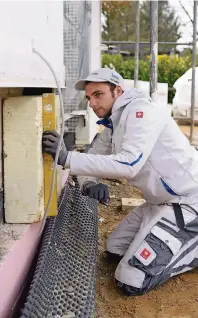  ?? FOTO: JUDITH MICHAELIS ?? Stuckateur David Reingen muss auf der Baustelle anpacken können. Ohne eine körperlich­e Grundfitne­ss geht es nicht.