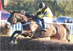  ??  ?? Tommie O’Brien and dual winner Road To Rome head the restricted