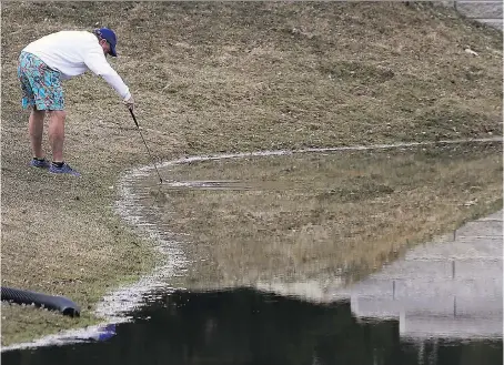  ?? DAN JANISSE ?? Wearing shorts as temperatur­es reached 5 C on Tuesday, Paul Gignac retrieves a ball from the water at the Roseland Golf Club.