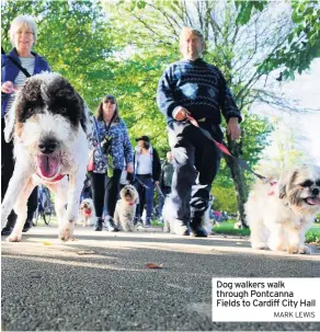  ?? MARK LEWIS ?? Dog walkers walk through Pontcanna Fields to Cardiff City Hall