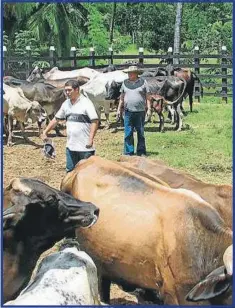  ??  ?? Sólo falta entregar apoyos por el orden de 2 millones