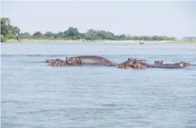  ??  ?? The Mighty Zambezi River