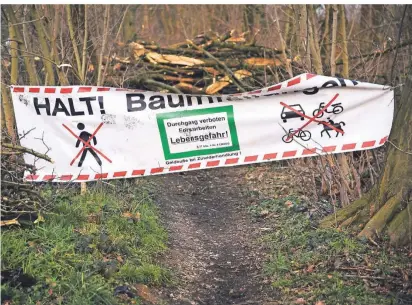  ?? FOTO: JANA BAUCH ?? Ein Hinweisban­ner warnt Spaziergän­ger vor Baumfällun­gen im Wald.