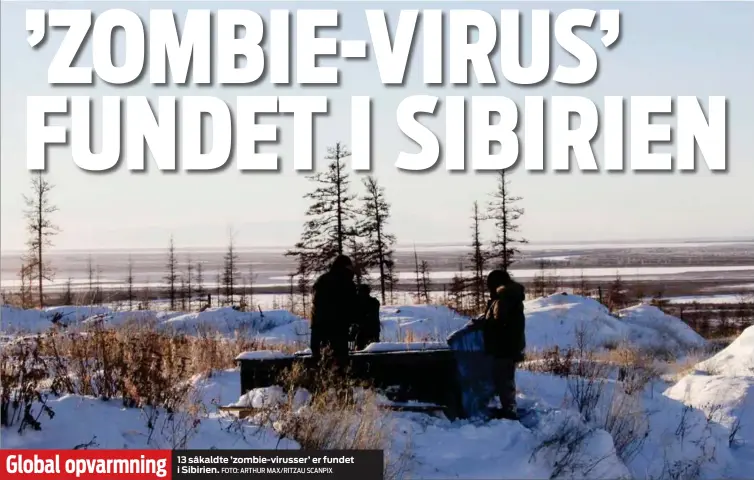  ?? FOTO: ARTHUR MAX/ RITZAU SCANPIX ?? Global opvarmning 13 såkaldte ’ zombie-virusser’ er fundet i Sibirien.