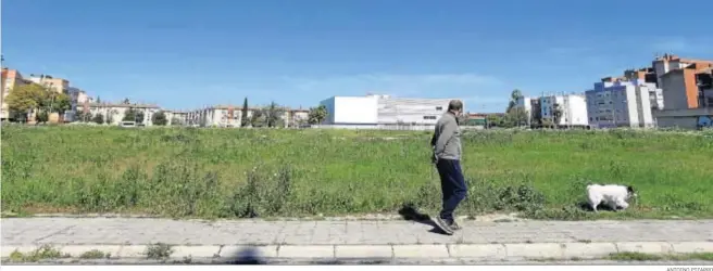  ?? ANTOINO PIZARRO ?? Un hombre pasea con un perro junto al conocido como el ‘gran vacío’ de la barriada de Martínez Montañés.
