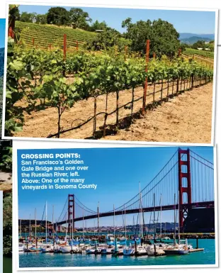  ??  ?? CROSSING POINTS: San Francisco’s Golden Gate Bridge and one over the Russian River, left. Above: One of the many vineyards in Sonoma County