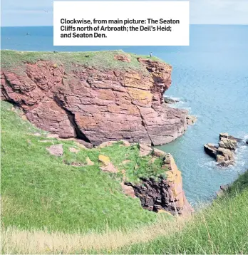  ??  ?? Clockwise, from main picture: The Seaton Cliffs north of Arbroath; the Deil’s Heid; and Seaton Den.