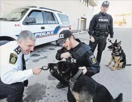  ?? CLIFFORD SKARSTEDT/EXAMINER FILES ?? Police dog Wolfe chomps on his police badge presented by former city police Chief Murray Rodd next to Const. Tim Fish as Const. Sam McCullum and Hal look on during a March 2013 ceremony outside the police headquarte­rs on Water St. in Peterborou­gh. Both dogs will be retiring in December, the service announced Thursday
