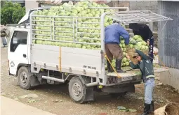  ??  ?? TRADING WOES — Farmers in Benguet face another tough challenge in transporti­ng their vegetables to the lowland markets with the implementa­tion of the Baguio City Truck Ban. (Larry P. Fabian)