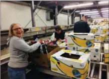  ??  ?? Volunteer Joanne Bresler prepares a food box for distributi­on to one of many agencies served by the Regional Food Bank of Northeaste­rn New York. The Food Bank relies heavily on volunteer help.