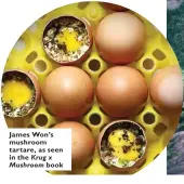  ??  ?? James Won’s mushroom tartare, as seen in the Krug x Mushroom book