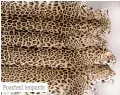  ??  ?? Poached leopards