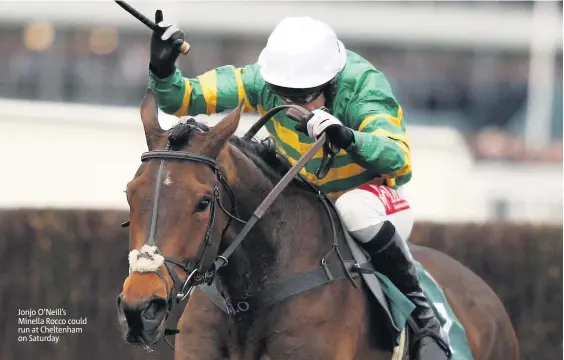  ??  ?? Jonjo O’neill’s Minella Rocco could run at Cheltenham on Saturday