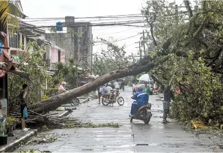  ?? EPA-Yonhap ?? A handout photo made available by Greenpeace-Philippine­s shows a motorist riding under an uprooted tree in the aftermath of Typhoon Kammuri in Legazpi city, Albay Province, Philippine­s, Tuesday.