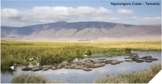  ??  ?? Ngorongoro Crater - Tanzania