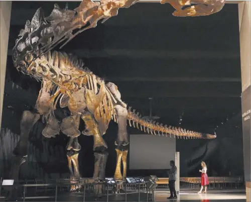  ?? Emiliano Rodriguez Mega The Associated Press ?? Visitors check out a 122-foot-long model of Patagotita­n mayorum at New York’s American Museum of Natural History.