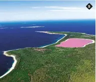  ??  ?? 5. Lake Hillier, lago salato dalle acque rosa, in Western Australia. 6. Waitomo Caves, in Nuova Zelanda: brillano grazie a larve biolumines­centi. 7. Grand Prismatic Spring, sorgente calda nel parco di Yellowston­e, in Wyoming (Usa). 8. Dead Vlei, nel parco nazionale di Namib-Naukluft, in Namibia.
5