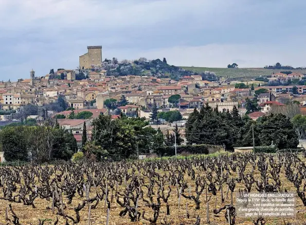  ??  ?? UN VIGNOBLE EMBLÉMATIQ­UE. Depuis le XVIIIe siècle, la famille Avril
s’est constitué un domaine d’une grande diversité de parcelles,
gage de la complexité des vins.