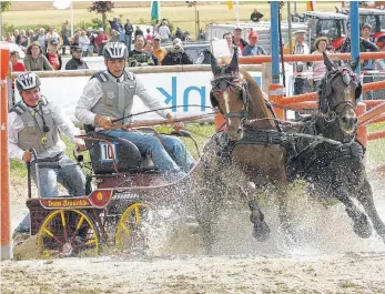  ?? FOTO: THOMAS SIEDLER ?? 25 Jahre nach seiner Gründung ist der Pferdespor­tverein Schloss Kapfenburg eine Hochburg des Fahrsports. Hier ist Gespannfah­rer Steffen Brauchle zu sehen, der bereits viele nationale und internatio­nale Titel gesammelt hat.