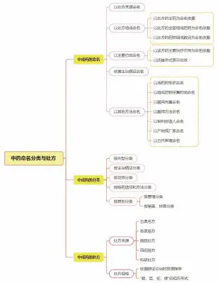  ??  ?? 图 2 学生绘制的中成药命名­分类与处方思维导图示­例