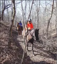  ??  ?? Horses and riders make their way along the War Eagle Valley Loop near the Townsend Ridge Road trailhead.
(NWA Democrat-Gazette/Flip Putthoff)