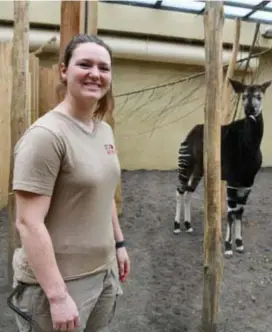  ?? FOTO JAN VAN DER PERRE ?? Natalie Kooij bij Zaïre, de okapi.