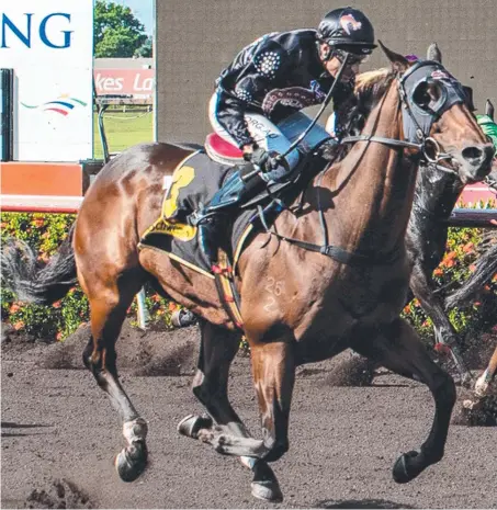  ?? Picture: CAROLINE CAMILLERI ?? Jockey Barry Huppatz will again team up with Chris Pollard’s Pinzu in the Alice Springs Cup today, after both combined to win by a length at Fannie Bay on April 15