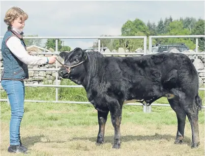  ?? Pictures: Ron Stephen. ?? Ruby Simpson, from Mains of Creuchies, with four-month-old Limousin cross heifer Wilma, the champion of champions at Strathardl­e Show.