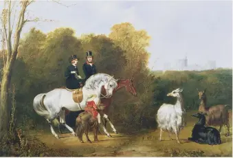  ??  ?? What on earth? Gourlay Steell’s painting (about 1845) of of Victoria and Albert coming across llamas grazing in Windsor Great Park